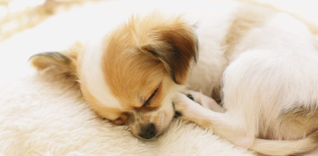 後悔しない葬儀業者の選び方