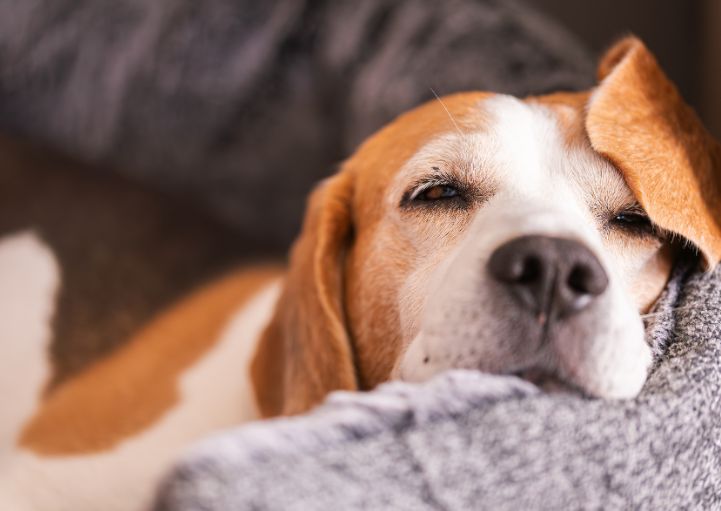 24時間365日対応、急なご依頼にも安心